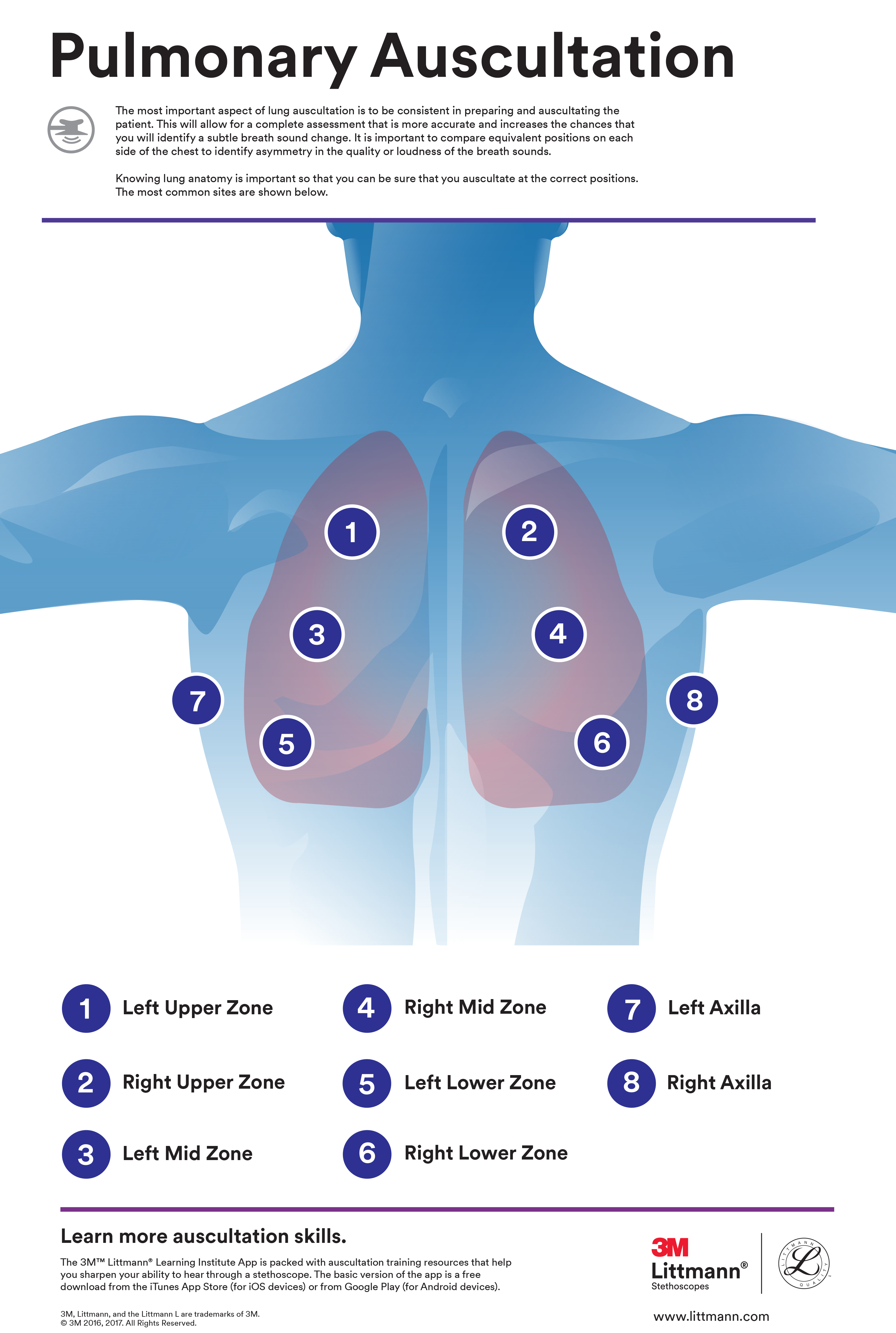 Littmann_Pulmonary_Auscultation_Poster